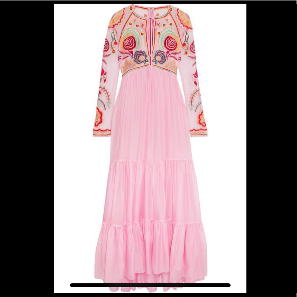 Chimera Embroidered Tulle and Silk-Blend Dress